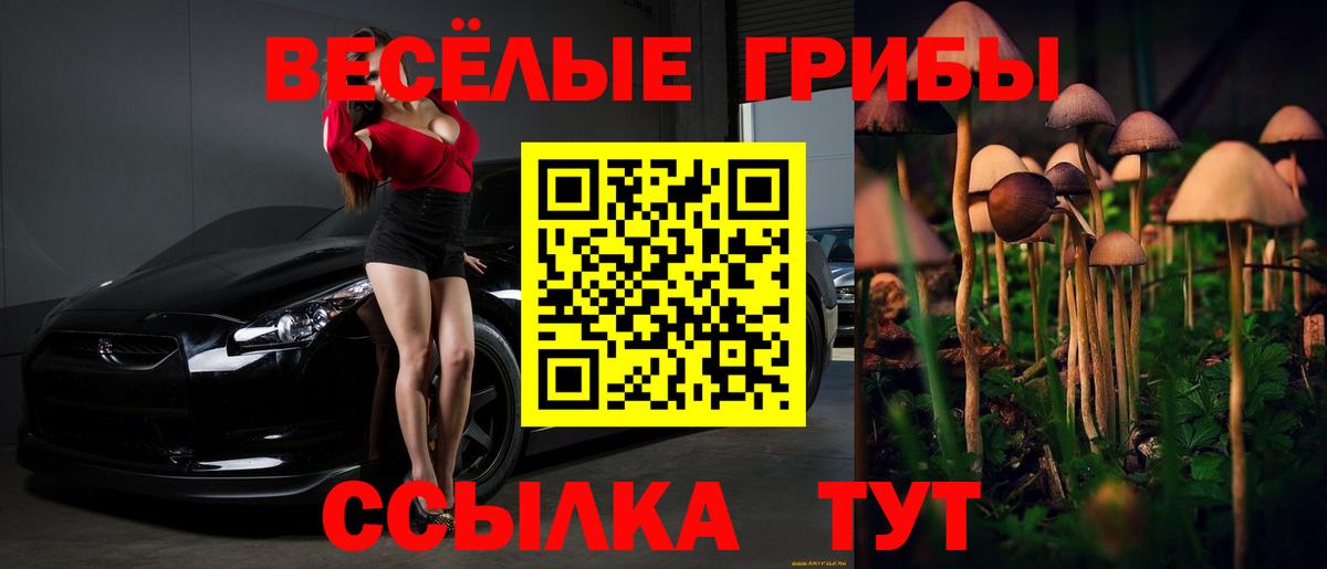 Псилоцибиновые грибы мицелий  Галлюциногенные грибы MAGIC MUSHROOMS  Кемерово  Вход с VPN 