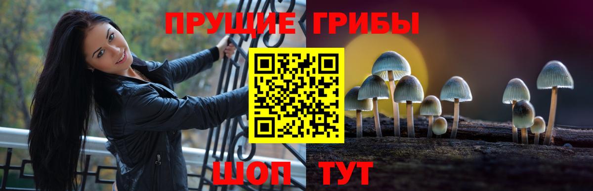 Галлюциногенные грибы Magic Shrooms Кемерово